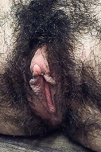 Hairy Cunt Pics