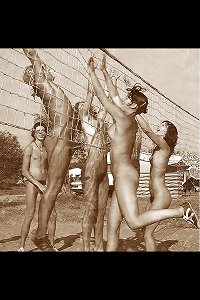 Wet Hairy Pussies Groups Of Naked People Vintage Edition Vol